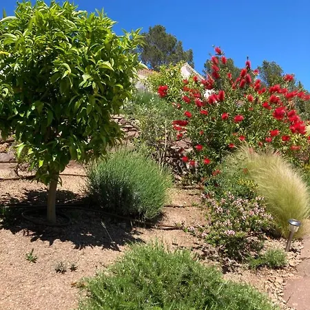 Apartment Du Belvedere Saint-Raphael (Var)